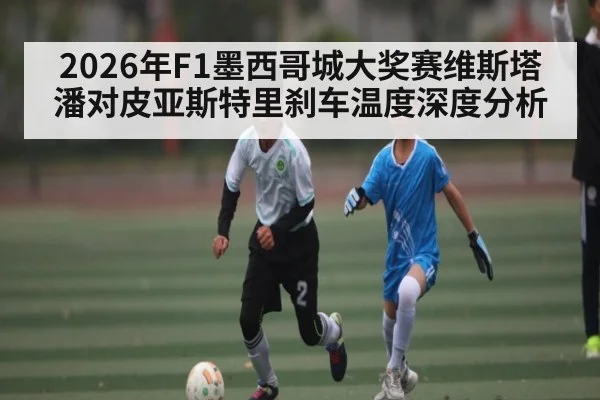2026年F1墨西哥城大奖赛维斯塔潘对皮亚斯特里刹车温度深度分析